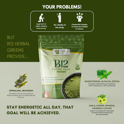 Evergreen Eats Vitamin B12 Herbal Greens Powder | Plant-Based B12 Supplement with Moringa, Wheatgrass, Amla & Beetroot | Green Superfood for Daily Nutrition | Men & Women | 80g