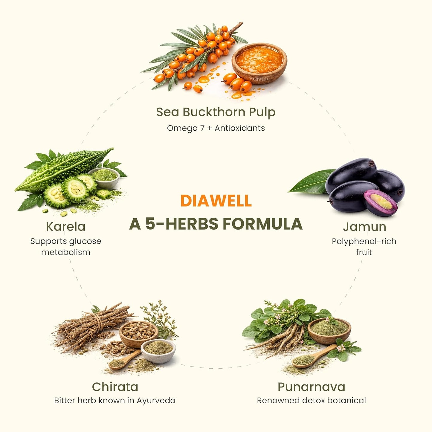 Wellwith (Ayuzera) Diawell (Diabowin) Karela & Jamun Diabetic Care Juice with Seabuckthorn 300ml | Chirata and Punarnava | Ayurvedic | Makes Upto 50 Glass Juice (300ml, Pack of 1)