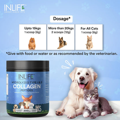 INLIFE Collagen for Dogs & Cats | Hydrolyzed Collagen Powder for Skin, Coat & Joints | Clinically Proven Ingredient with Biotin, Vitamin C, Hyaluronic Acid & Glucosamine | Pet Supplement (Blueberry)