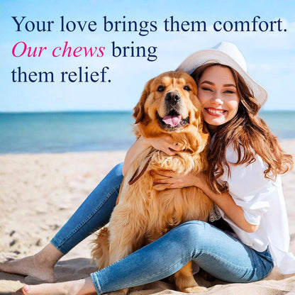 Petroyale Allergy & Itch Chews for Dogs | Anti-Allergy & Anti-itching Supplement - Relief from Allergies, Hot Spots, Dry Skin, Scratching for Dogs - Grape Seed Extract & Rosemary | 20 Soft Chews