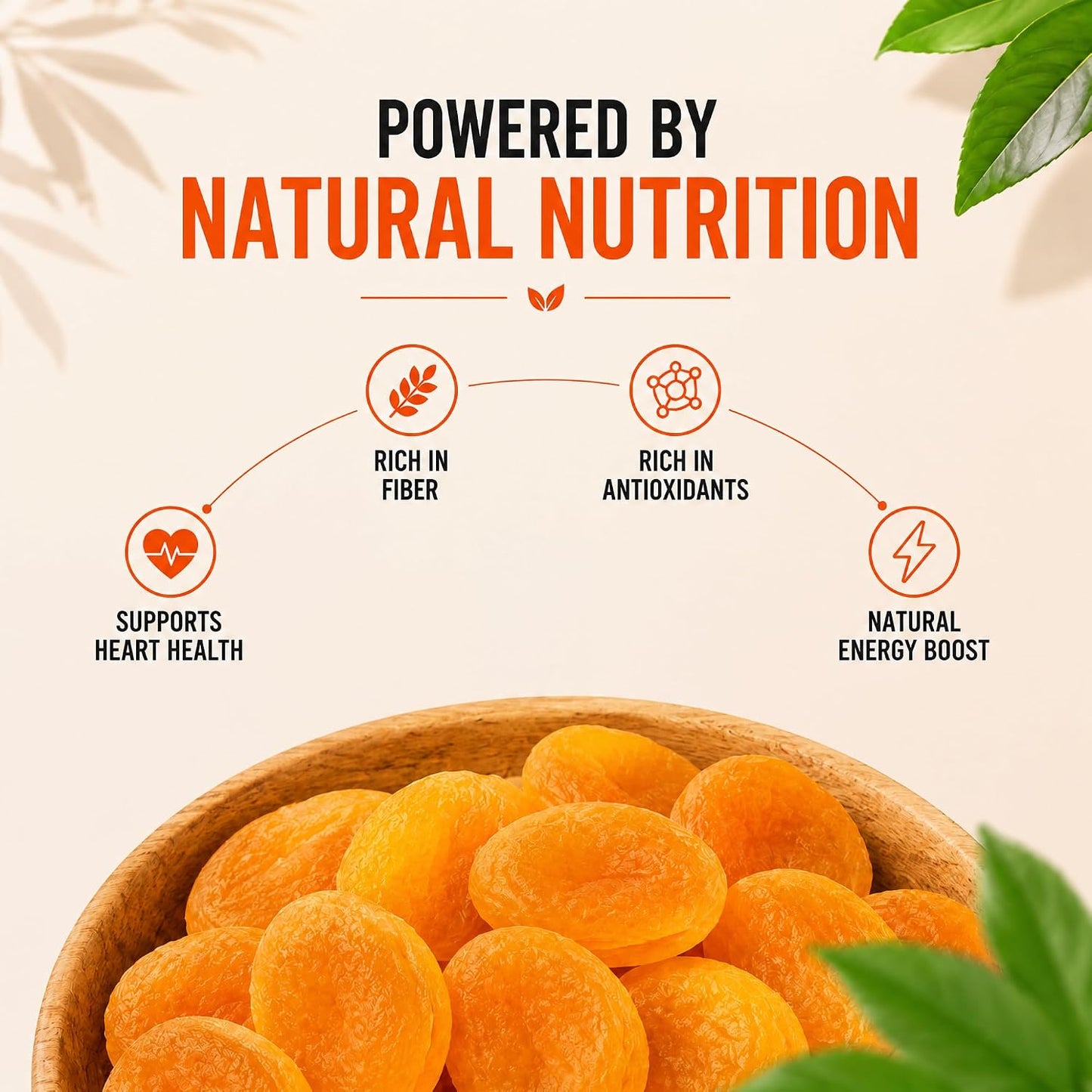 Healthy Land Dried Apricots | Premium Seedless Apricot Dry Fruits | Soft & Juicy Khubani | No Added Sugar | Rich in Fiber & Antioxidants | Healthy Snacks Dry Fruits for Kids & Adults (200G, Apricots)