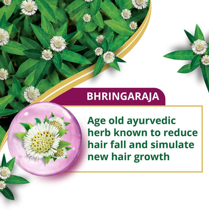Bhringaraja herb with flowers and text on a green background