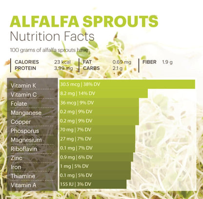 Go Organic Alfalfa Grass Juice Powder 100 gm