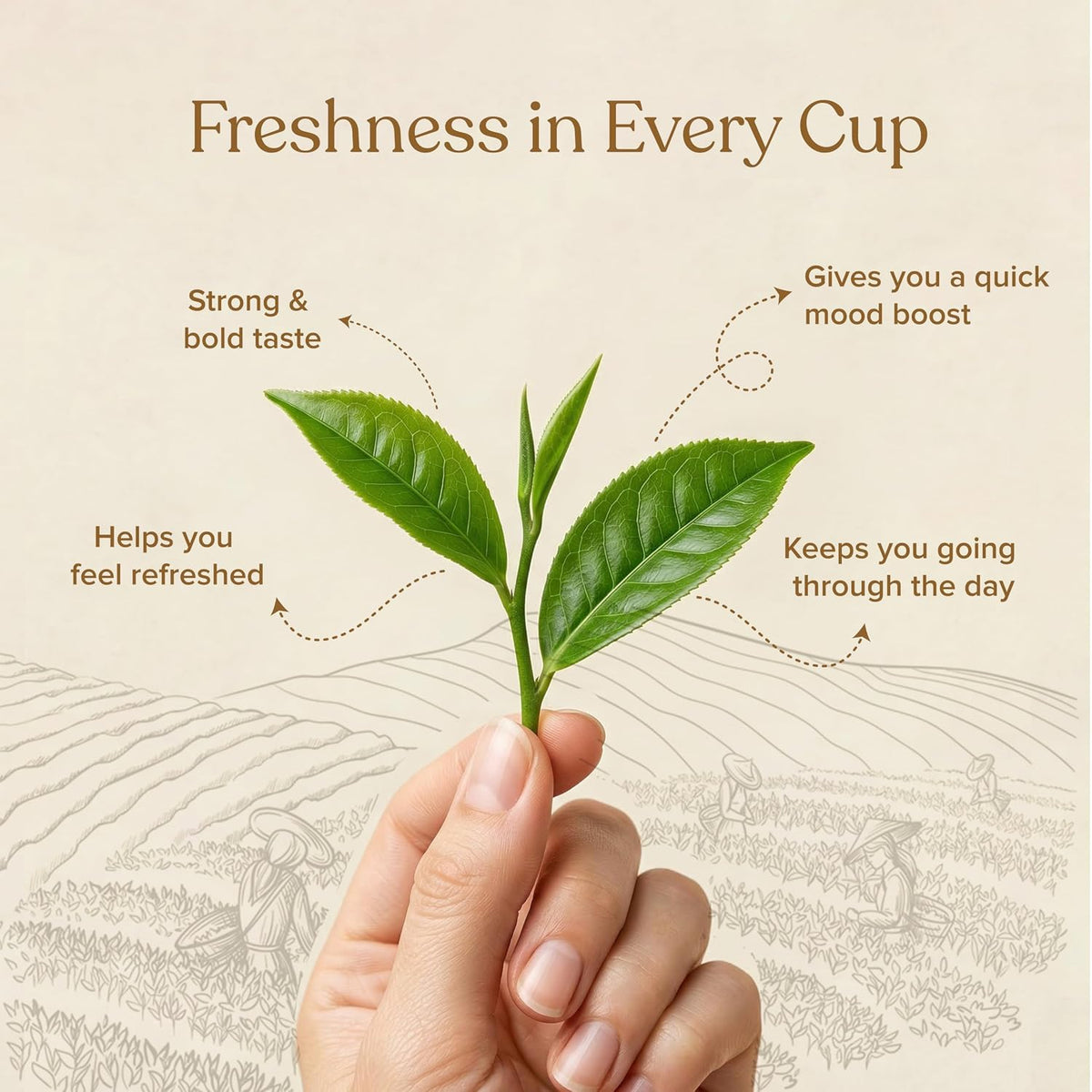 Naturgized Second Flush Gold Tea (250 g)