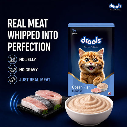 Drools Adult Cat Wet Mousse 80g Pack of 5, 400g | Ocean Fish Flavour | Rich in Protein, Hydrating & Easy to Digest | No Artificial Flavours | with Essential Vitamins & Antioxidants