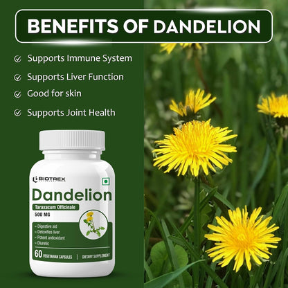 Biotrex Nutraceuticals Dandelion 500mg | Natural Diuretic & Antioxidant | Liver Support and Body Detox | Supports Digestion | Regulates Glucose Levels | 60 Veg Capsules