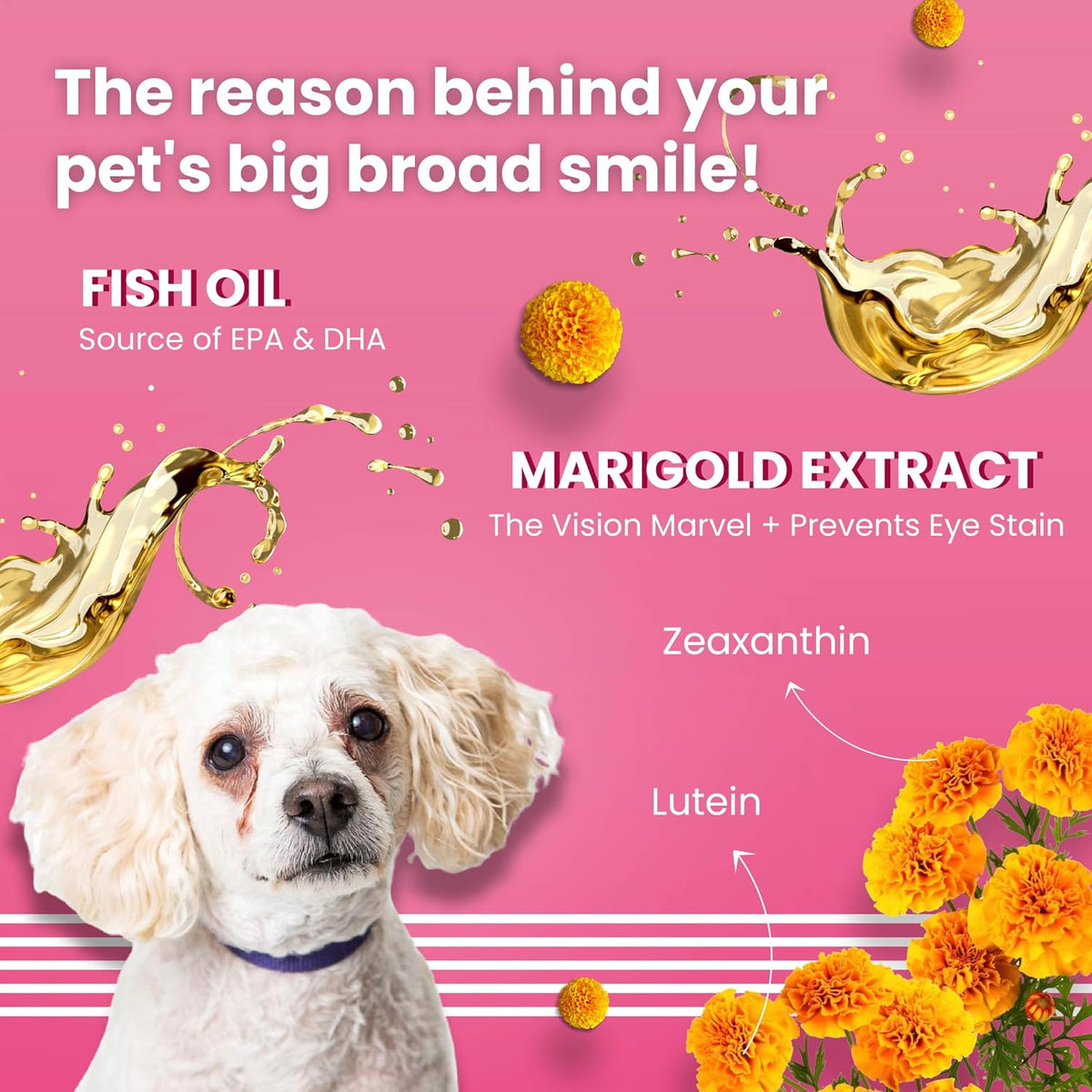 BARK OUT LOUD By Vivaldis - Tear Stains Eyebright Chewstix Stick for All Life Stages Dog | Active Marigold Extract, Rich in Omega FA for Dog, 100 Gm Dog Treats
