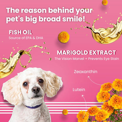 BARK OUT LOUD By Vivaldis - Tear Stains Eyebright Chewstix Stick for All Life Stages Dog | Active Marigold Extract, Rich in Omega FA for Dog, 100 Gm Dog Treats