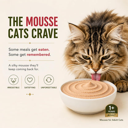 Grain Zero Adult Cat Wet Mousse 80gm | Salmon | Rich in Protein, Promotes Hydration & Easy to Digest | Grain Free, No Artificial Flavours | Packed with Essential Vitamins & Antioxidants