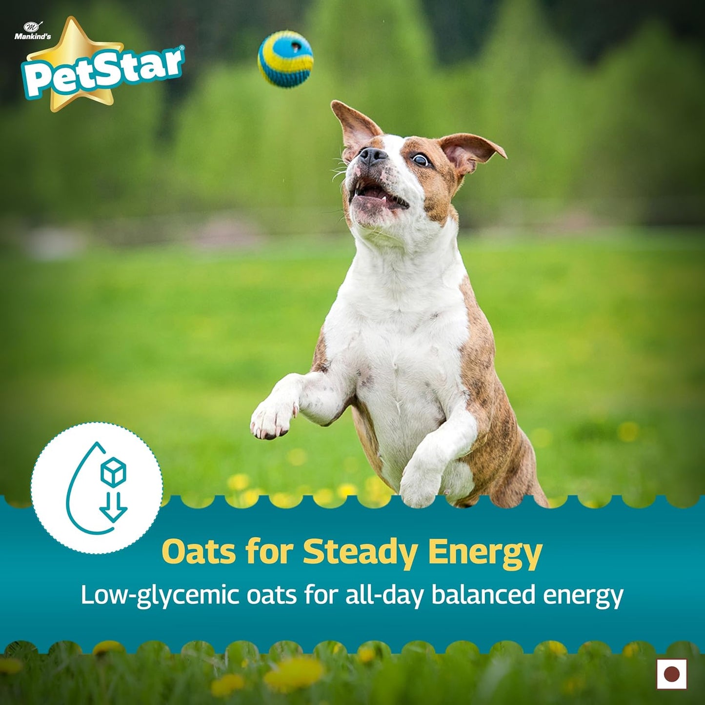 Petstar Adult Dry Dog Food 1 kg, Duck & Oats, High Protein, Easy Digestion, Immunity Support, No Artificial Flavours or Added Sugar