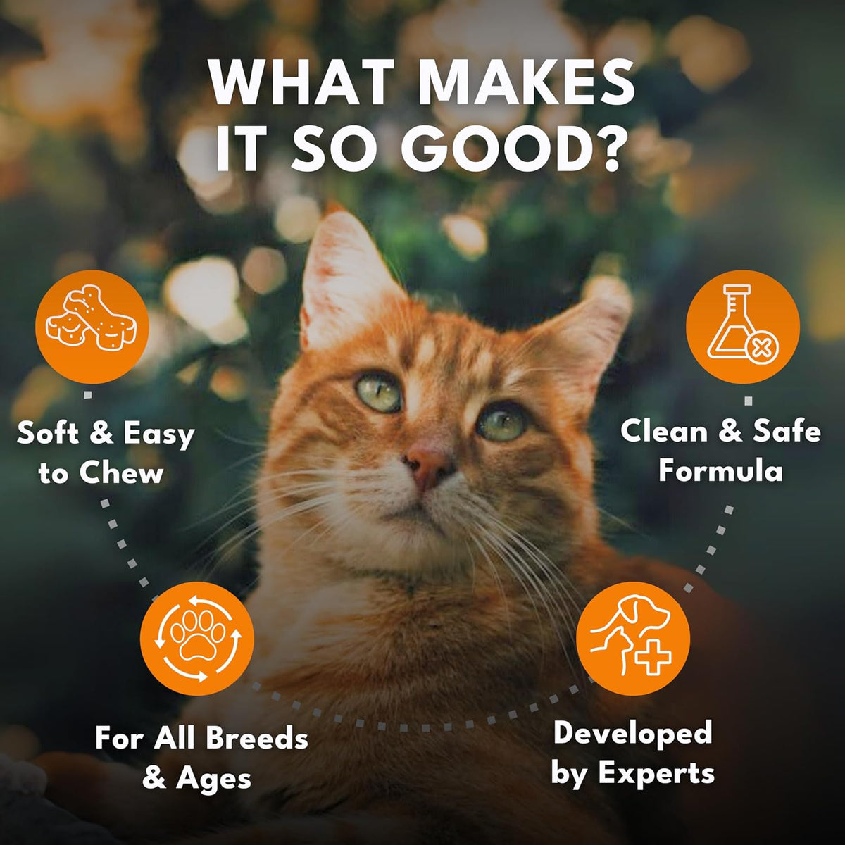 Petroyale Multivitamin Chews for Cats - Cat Multivitamin Tablets - Cat Health Supplement - Daily Supplements for Cats - for Growth, Energy, Strength, Fur & Immunity - 50 chew
