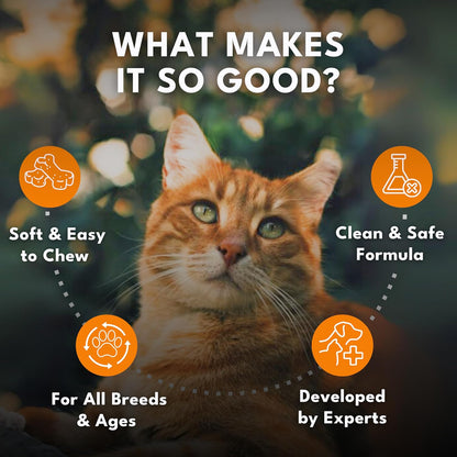 Petroyale Multivitamin Chews for Cats - Cat Multivitamin Tablets - Cat Health Supplement - Daily Supplements for Cats - for Growth, Energy, Strength, Fur & Immunity - 50 chew