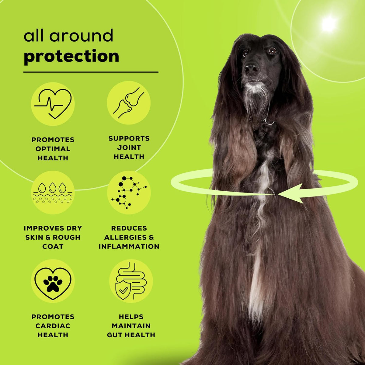 Venttura Omega+ Comprehensive Supplement of 2, 3, 6, 7 & 9 Omega Fatty Acid for Dogs | Healthy Skin, Glowing Coat and Boosting Health | for All Life Stages | Omega 2+3+6+7+9, Fish Oil | (250 ml Oil)