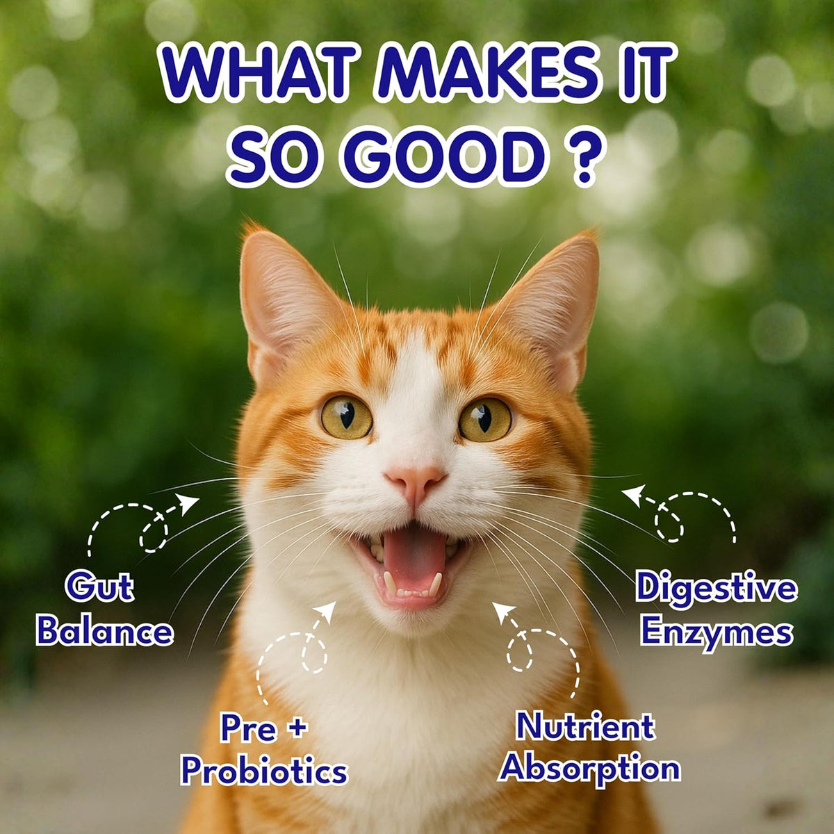 Petroyale Cat Digestive Probiotics - Cat Prebiotics & Probiotics Supplement - Prevents Diarrhea & Improves Gut Health - Cats Health Supplement for Digestion - 100 gm