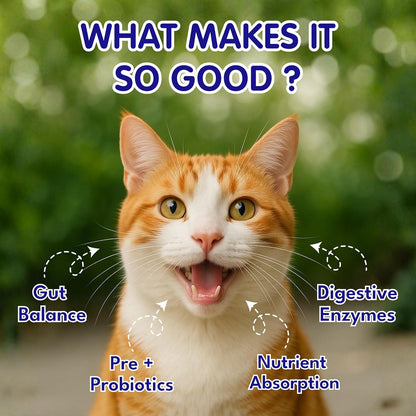 Petroyale Cat Digestive Probiotics - Cat Prebiotics & Probiotics Supplement - Prevents Diarrhea & Improves Gut Health - Cats Health Supplement for Digestion - 100 gm