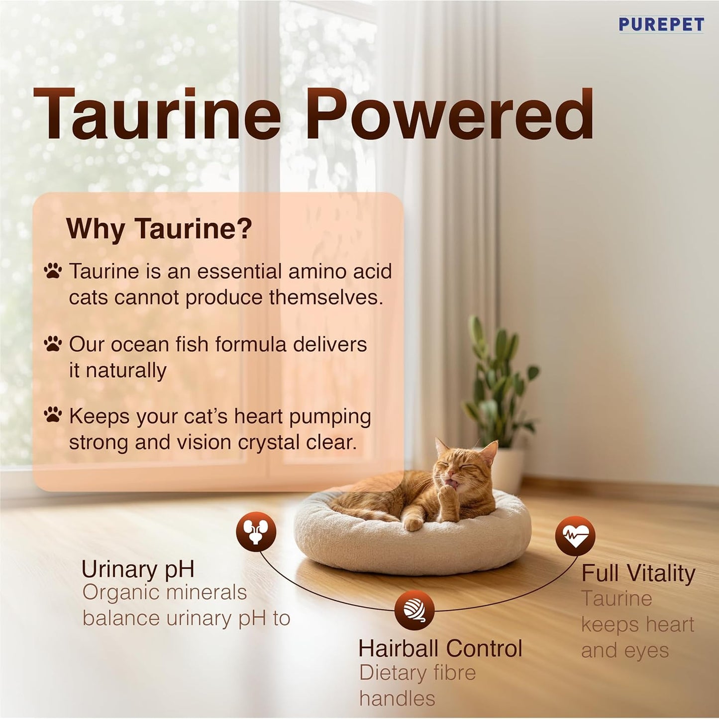 Purepet Adult Dry Cat Food 1kg | Mackerel Flavour | Hairball Protection | Heart Care with Taurine | Skin Health