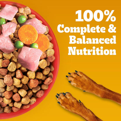 Pedigree Adult Dry Dog Food, Chicken & Vegetables, 1.2 kg, Contains 37 Essential Nutrients, 100% Complete & Balanced Food for Adult Dogs