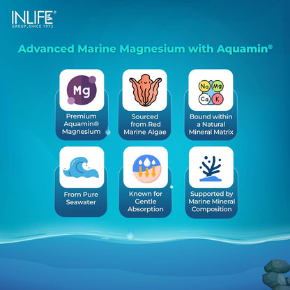 INLIFE Marine Magnesium Supplement 1060mg | Aquamin Mg Naturally Sourced from Red Algae with Zinc Gluconate | Multi-Mineral Complex | Supports Muscle Function, Energy, Metabolism & Daily Wellness | 60 Vegetarian Capsules (60)