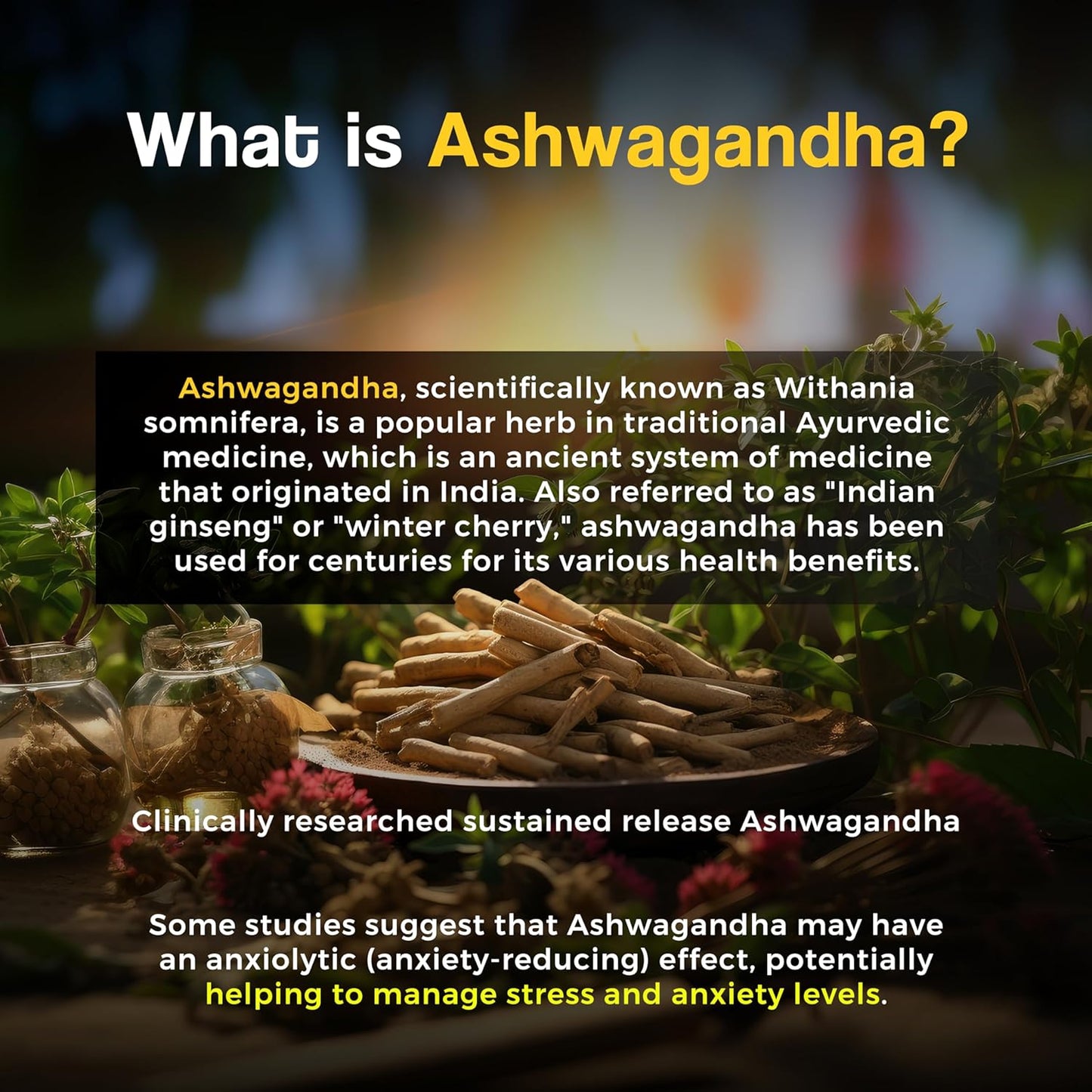 Zephivo HEALTH VEDA ORGANICS PRIVATE LIMITED Ashwagandha 1000Mg | High Strength Potent Formula | Boosts Immunity & Energy | Rejuvenates Mind & Body | 60 Veg Tablets | For Both Men & Women