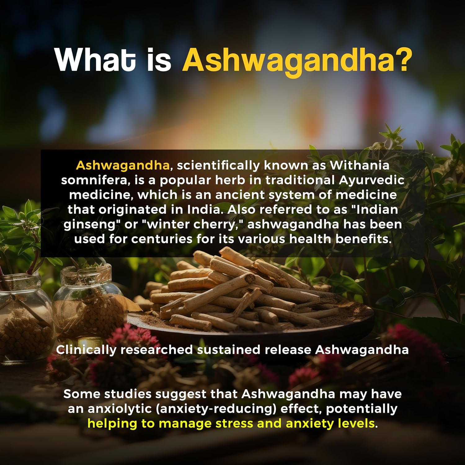 Zephivo HEALTH VEDA ORGANICS PRIVATE LIMITED Ashwagandha 1000Mg | High Strength Potent Formula | Boosts Immunity & Energy | Rejuvenates Mind & Body | 60 Veg Tablets | For Both Men & Women