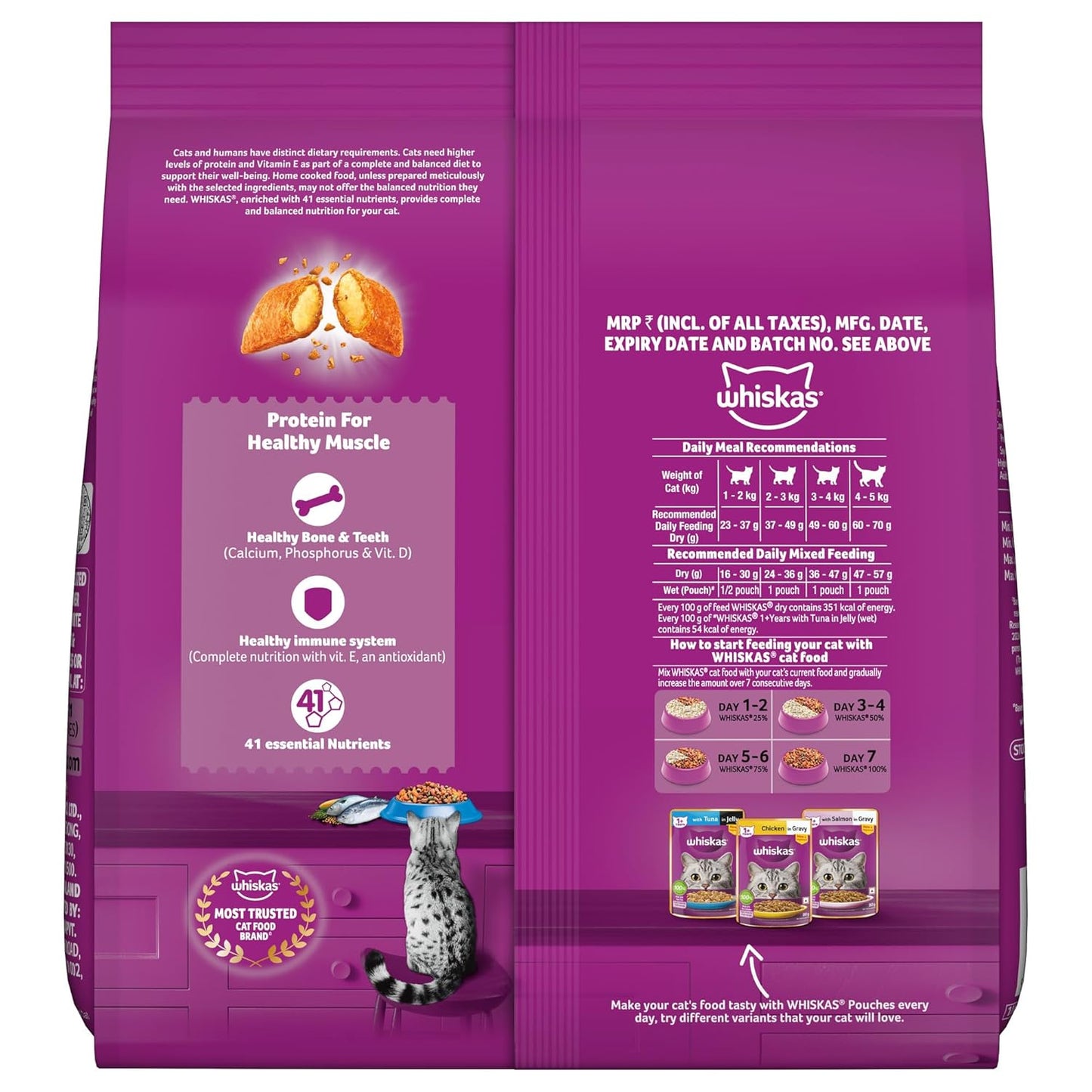 Whiskas Adult (1+ Years) Dry Cat Food, Ocean Fish Flavour, 480 g, Contains 41 Essential Nutrients, Complete & Balanced Nutrition for Adult Cats