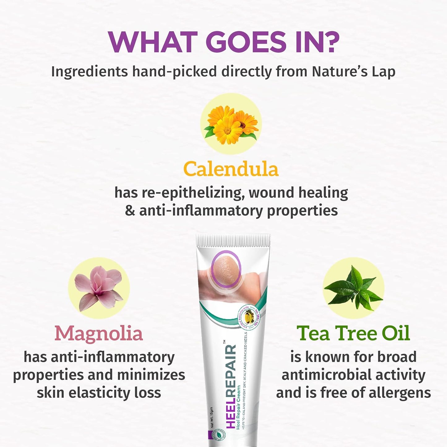 HeelRepair Cream with Herbal Extracts | Helps Soften Dry, Scaly & Cracked Heels | Nourishing Foot Care Formula for Smooth, Hydrated Skin | 15g