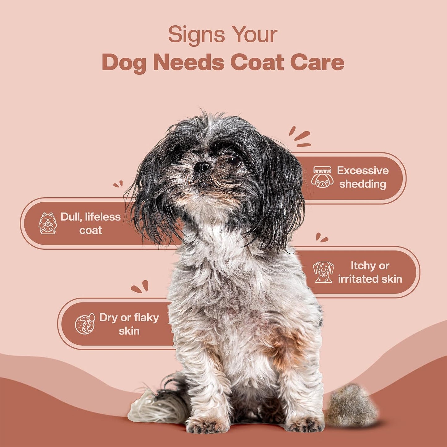 BLEP Super Coat Care - Dog Skin & Supplement, Itchy Skin, Shedding, Dull Coat & Paw Licking | Omega 3, Biotin & Collagen | Fish Oil, Borage Oil & Probiotics | Chicken Chews, 60 g