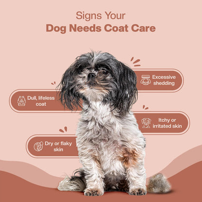 BLEP Super Coat Care - Dog Skin & Supplement, Itchy Skin, Shedding, Dull Coat & Paw Licking | Omega 3, Biotin & Collagen | Fish Oil, Borage Oil & Probiotics | Chicken Chews, 60 g