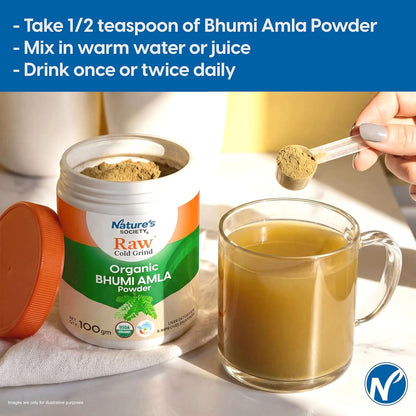 The Nature's Society ® Bhumi Amla Powder Organic 100gm | Raw Cold Grind | USA Organic Certified | Pure Bhoomi Amla Powder for Liver Health, Digestion & Detox | Rich in Nutrients and Antioxidants |
