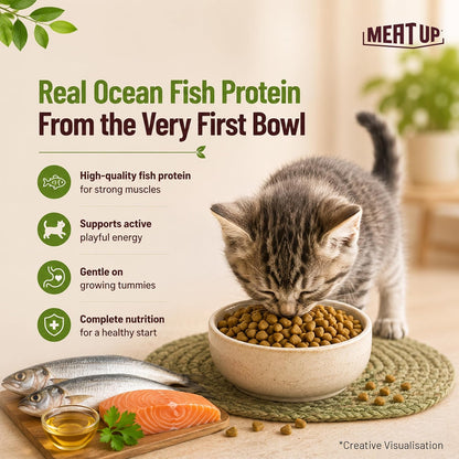 Meat Up Kitten Dry Cat Food (Up to 12 Months) 1.2kg Pack | Ocean Fish Flavour | Complete Nutrition | Taurine for Heart
