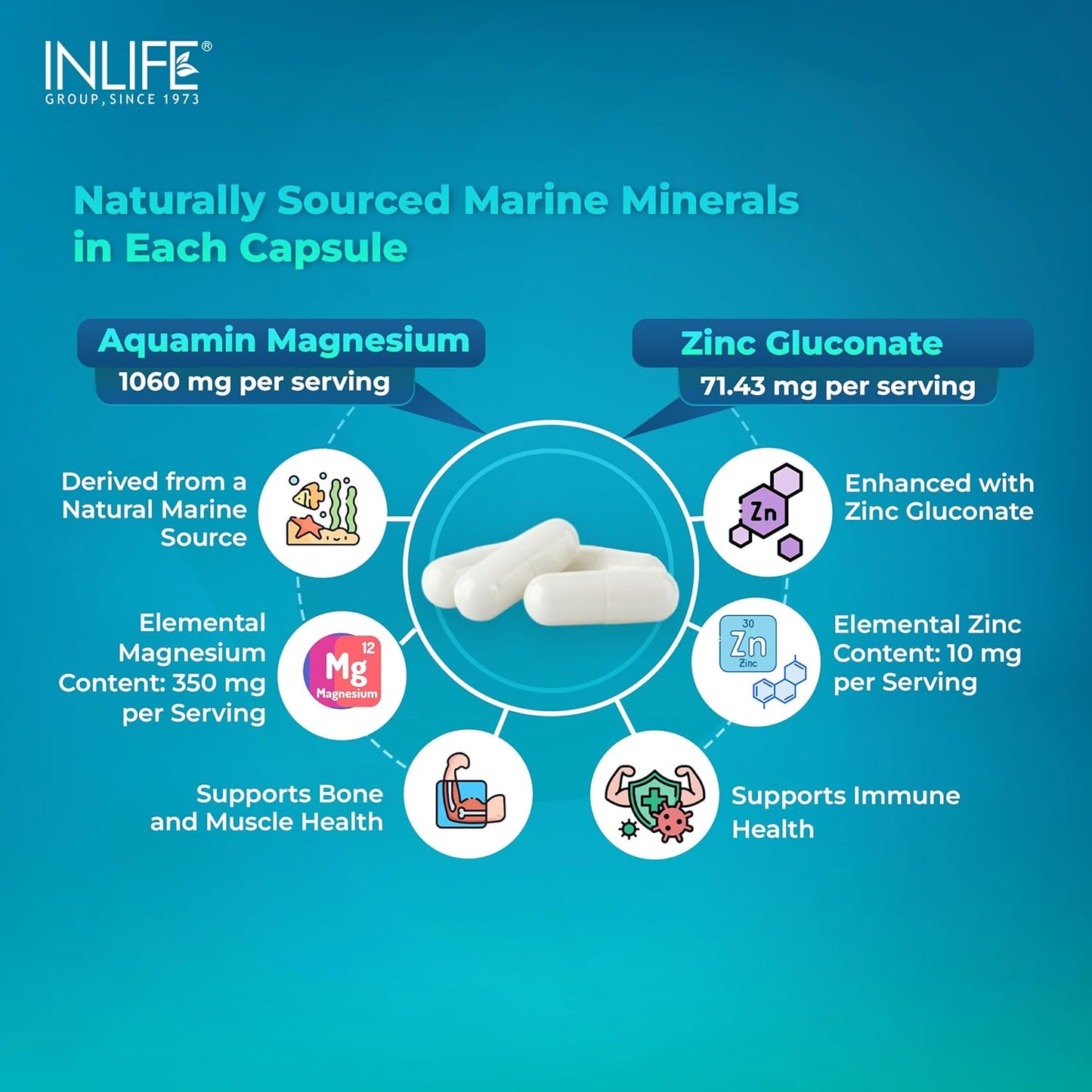 INLIFE Marine Magnesium Supplement 1060mg | Aquamin Mg Naturally Sourced from Red Algae with Zinc Gluconate | Multi-Mineral Complex | Supports Muscle Function, Energy, Metabolism & Daily Wellness | 60 Vegetarian Capsules (60)