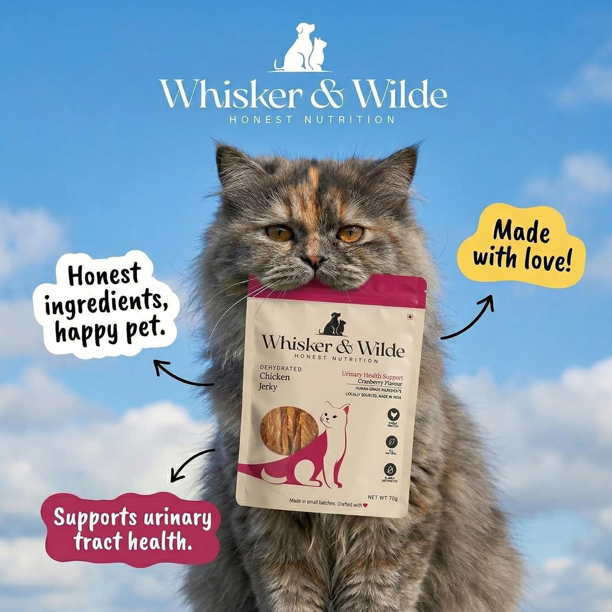 Whisker and Wilde Dehydrated Chicken Jerky Cat Treats | Urinary Tract Health Support with Cranberry | Antioxidant-Rich | Dental Chew | Training and Reward | No Preservatives | 70g
