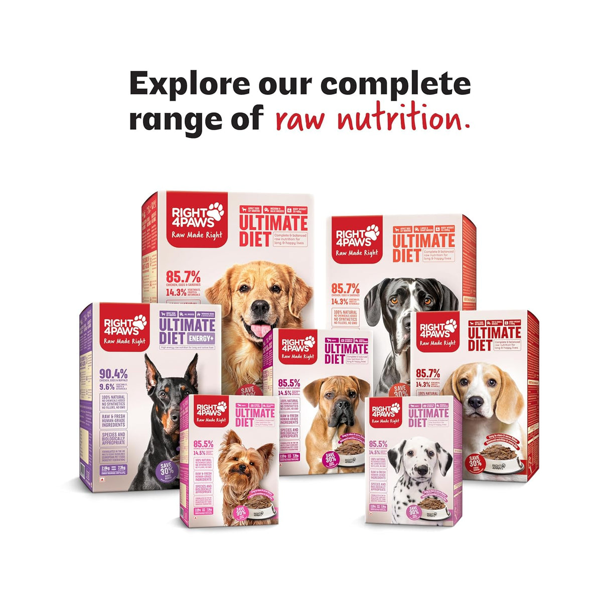 RIGHT4PAWS Natural Meal Topper Gravy - Chicken, Sardine & Bone Broth for Dogs - High in Collagen & Nutrient-Rich - 100% Natural, No Preservatives, Supports Joint & Muscle Health