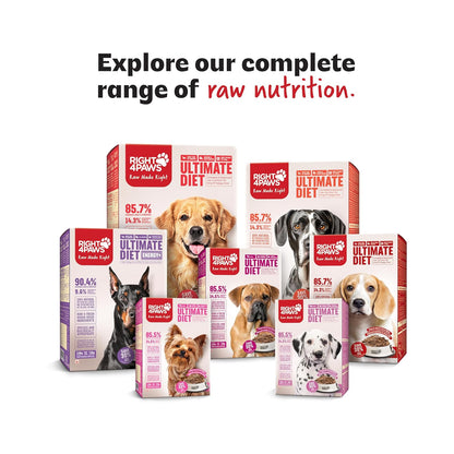 RIGHT4PAWS Natural Meal Topper Gravy - Chicken, Sardine & Bone Broth for Dogs - High in Collagen & Nutrient-Rich - 100% Natural, No Preservatives, Supports Joint & Muscle Health