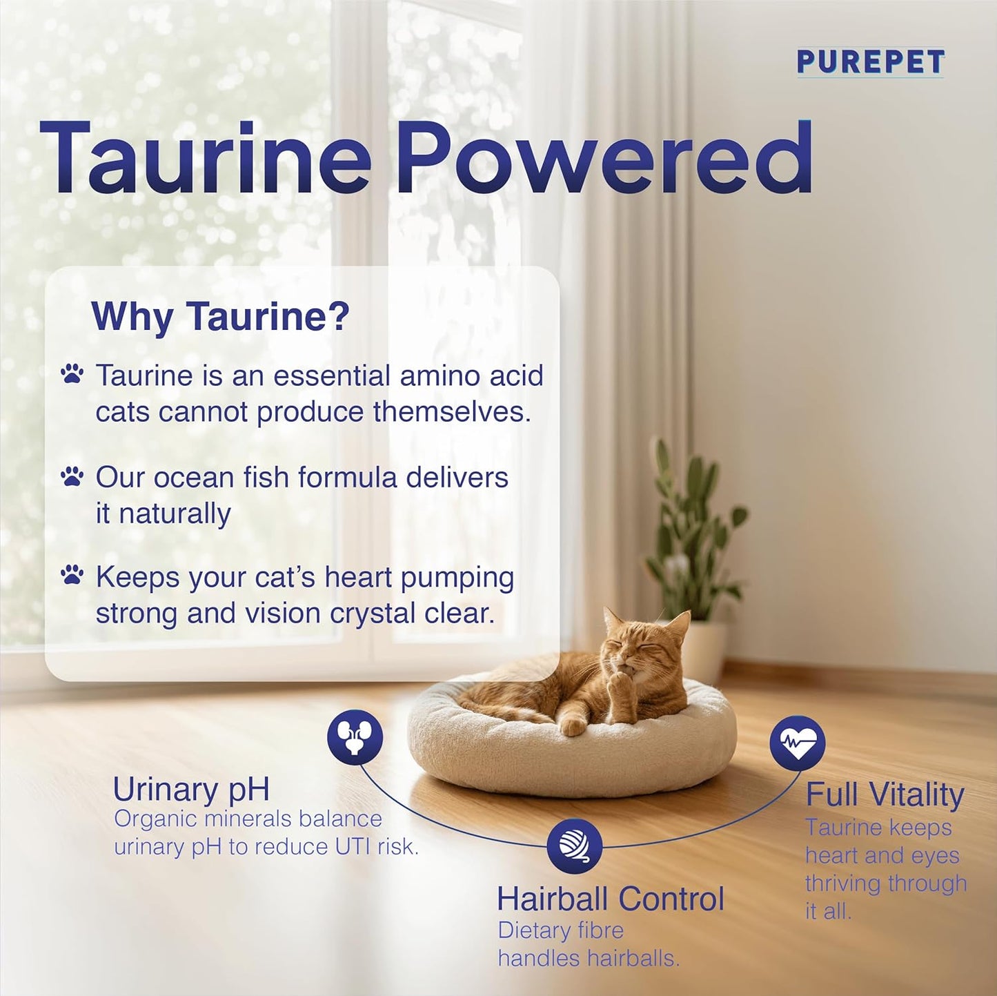 Purepet Adult Dry Cat Food 1kg | Ocean Fish Flavour | Hairball Protection | Heart Care with Taurine | Skin & Coat Health
