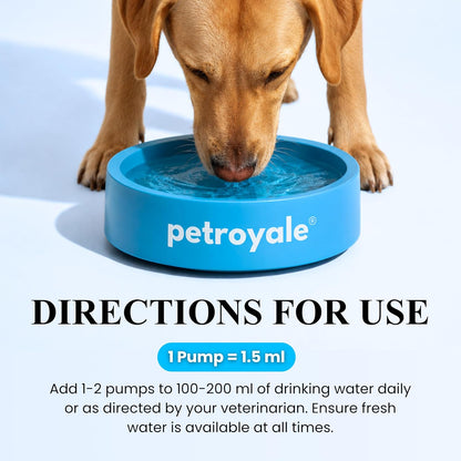Petroyale Dental Care Water Additive for Dogs & Cats with Nano Silver | Dog Teeth Cleaner for Fresh Breath, Plaque & Tartar Control | Pet Dental Care, Dog Mouth Freshener, Pets Dental Care, 200 ml