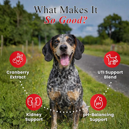 Petroyale Cranberry Chews for Dogs - Dog UTI Health Supplement - Better Urinary Tract & Bladder Function - Antioxidant, Anti-Inflammatory - for Dogs of All Breeds (30 Chews Tabs)