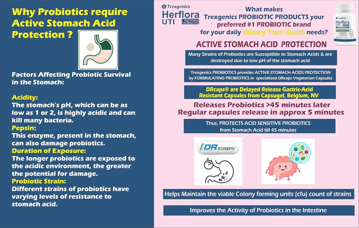 Trexgenics HERFLORA-UTI Probiotics 150 Billion CFU Urinary Tract Health Support Delayed release stomach acid protection capsules (30 Veg Capsules))