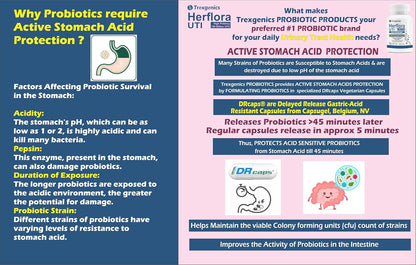 Trexgenics HERFLORA-UTI Probiotics 150 Billion CFU Urinary Tract Health Support Delayed release stomach acid protection capsules (30 Veg Capsules))
