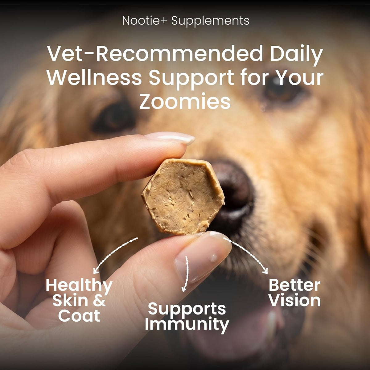 Nootie Daily Multivitamin for Dogs | Vitamins, Minerals & 7 Essential Amino Acids | Immune Boost, Better Vision, Healthy Skin Vet-Formulated Soft Chews | 30 Chews (All Breeds & Life Stages) 16in1