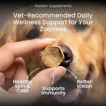 Nootie Daily Multivitamin for Dogs | Vitamins, Minerals & 7 Essential Amino Acids | Immune Boost, Better Vision, Healthy Skin Vet-Formulated Soft Chews | 30 Chews (All Breeds & Life Stages) 16in1