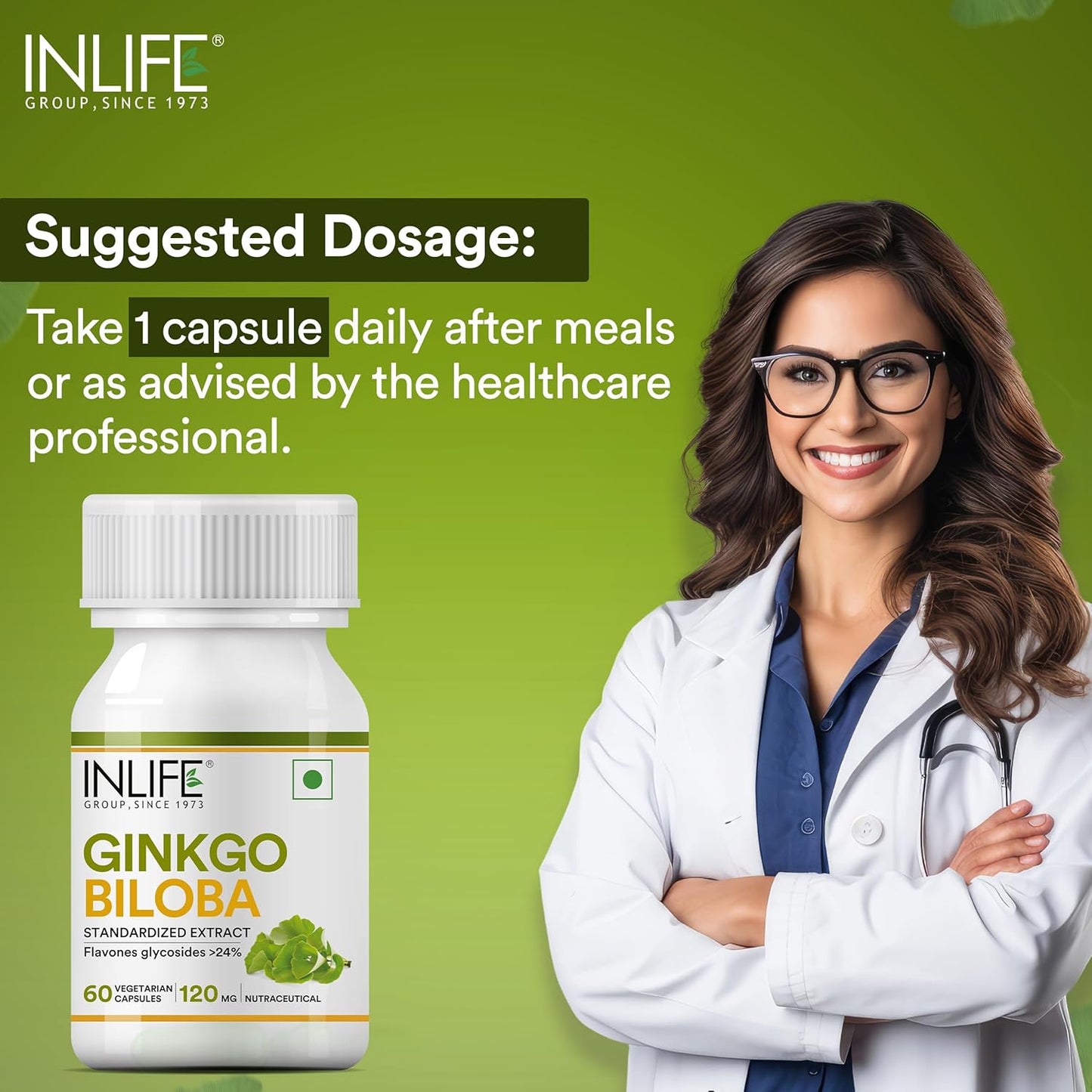 INLIFE Ginkgo Biloba Extract Capsules 120mg | Herbal Supplement | Memory Support - 60 Vegetarian Capsules (Pack of 1, 60)