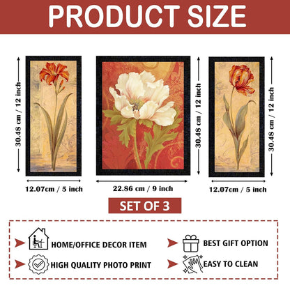 Wall Painting Frames For decor, Pictures Frame For Living Room, Home Decoration, Bedroom, Set of 3, 1pc- 23 x 30 cm, 2pc- 12.5 x 30 cm (Design 6)