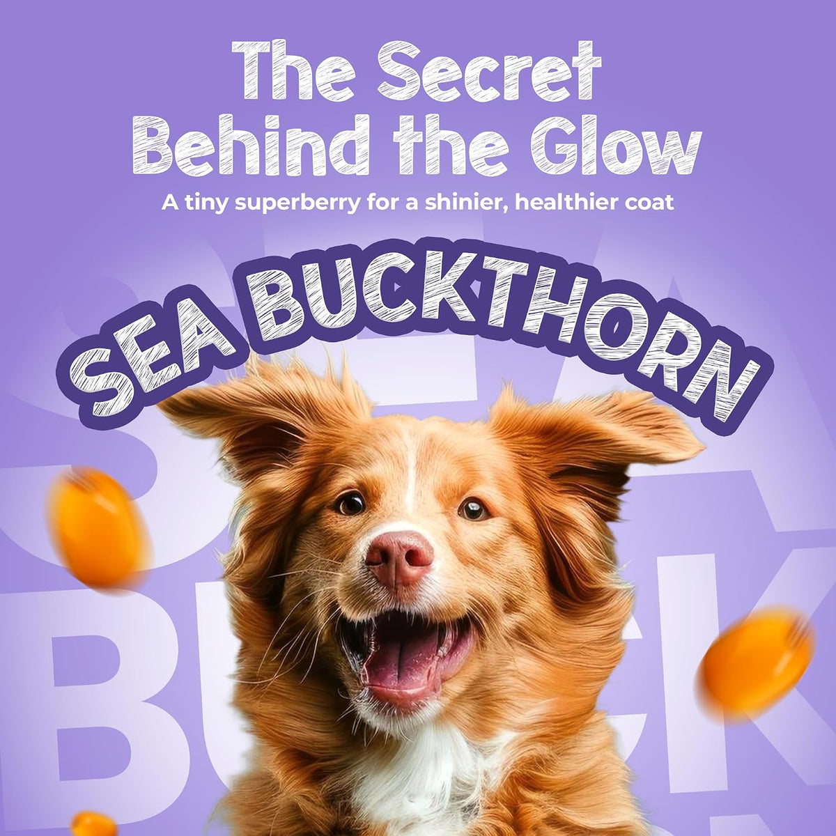 TailsAlive Shinyy+ Treats for Dogs | Skin & Coat Support | No Added Sugar | Fish Oil, Sea Buckthorn & Collagen | Blueberry Blast | 100g