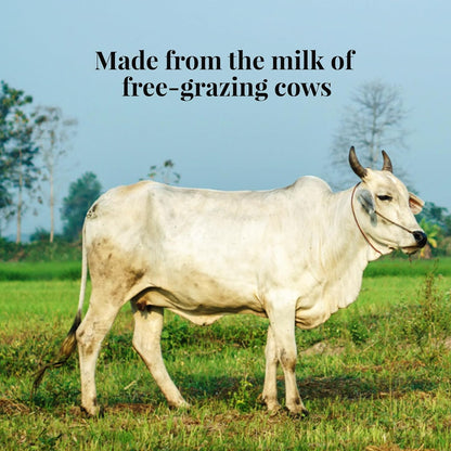 Himalayan Natives Cow Ghee Organic Bilona Pet Bottle, 1000 ml
