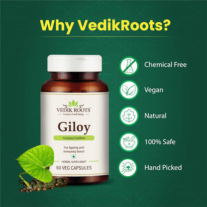 Vedik Roots Giloy supplement bottle with green leaf on a green background