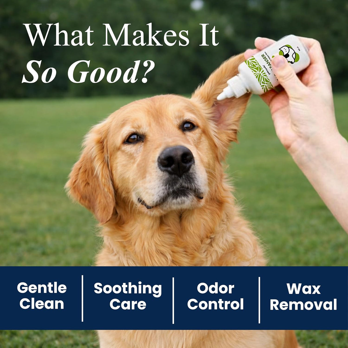Petroyale Ear Cleanser for Dogs and Cats | Effective & Gentle Formula | Remove Dirt, Excess Wax, Mites | Improves Hearing | Relives Itching | Dog Ear Cleaner Solution with Tris EDTA Buffer - 100ml