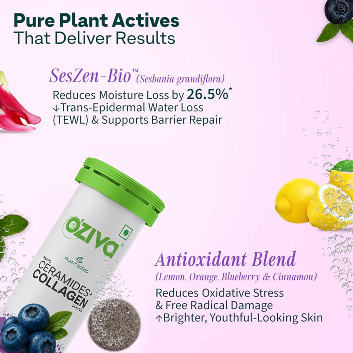 OZiva Phyto Ceramides+ Collagen Builder, Skin Hydration, Blueberry, 15 Tabs
