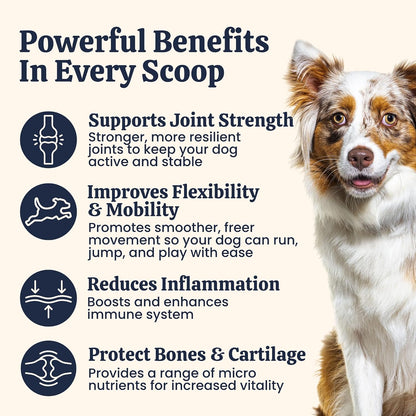 My Fur Child Advanced Hip & Joint Formula for Dogs | Promotes Joint Health, Mobility & Comfort | MSM, Glucosamine, Chondroitin, Curcumin, Hyaluronic Acid and More | Lasts up to 60 Days