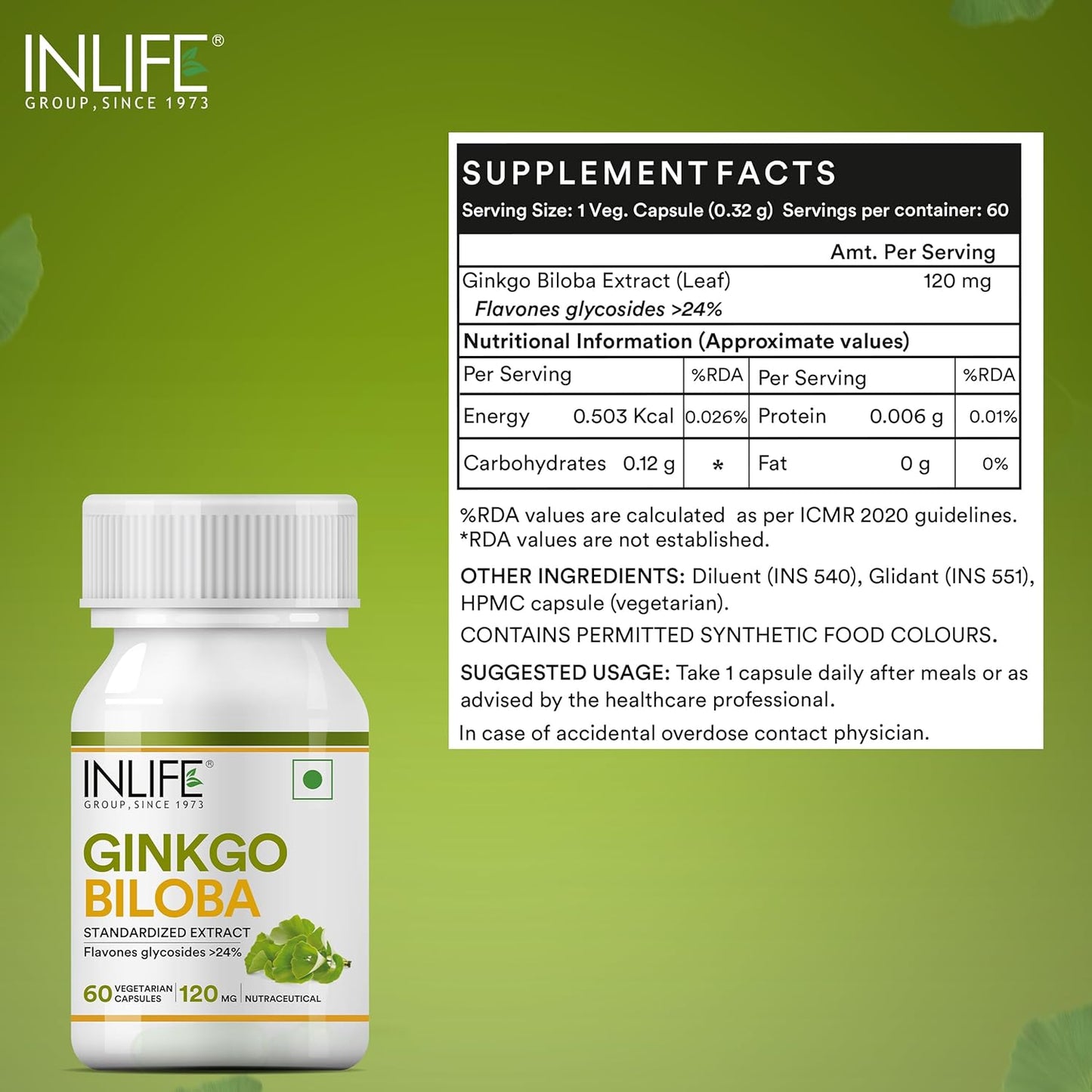 INLIFE Ginkgo Biloba Extract Capsules 120mg | Herbal Supplement | Memory Support - 60 Vegetarian Capsules (Pack of 1, 60)